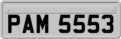 PAM5553