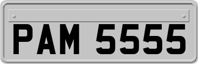 PAM5555