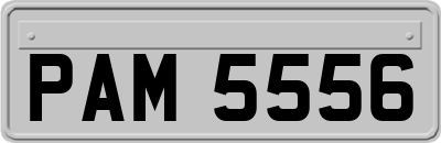 PAM5556