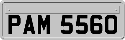 PAM5560