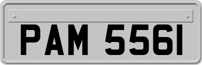 PAM5561