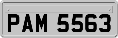 PAM5563