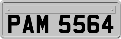 PAM5564