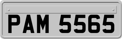 PAM5565