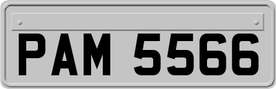 PAM5566