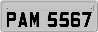 PAM5567