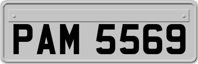 PAM5569