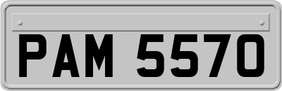 PAM5570