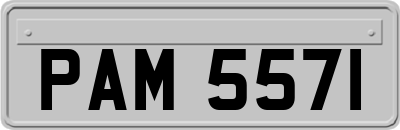 PAM5571