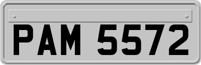 PAM5572