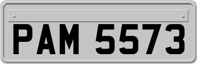 PAM5573