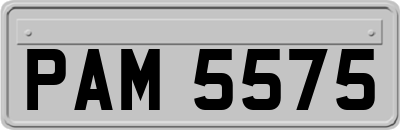 PAM5575