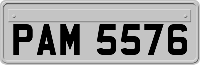 PAM5576