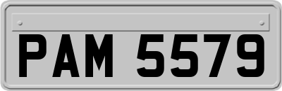 PAM5579