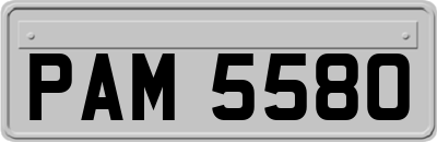 PAM5580
