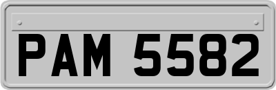 PAM5582