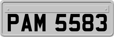 PAM5583