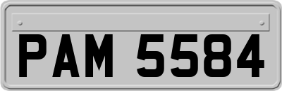 PAM5584