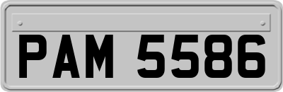 PAM5586