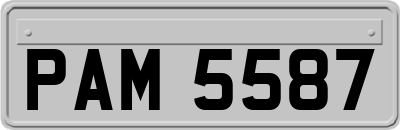 PAM5587