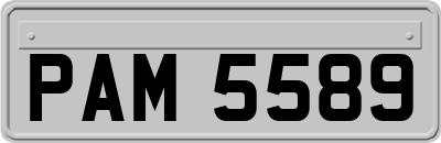 PAM5589