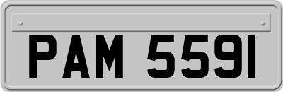 PAM5591