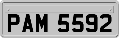 PAM5592