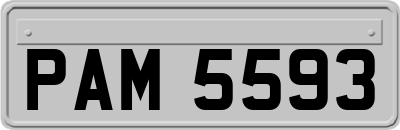 PAM5593