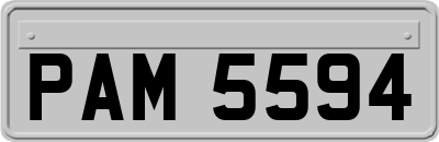 PAM5594