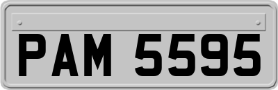 PAM5595