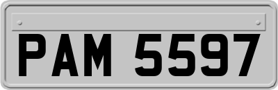 PAM5597
