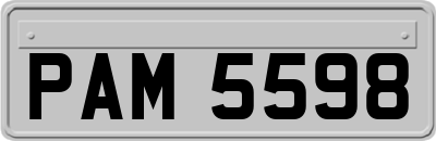 PAM5598