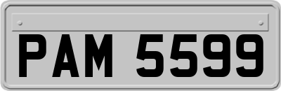 PAM5599