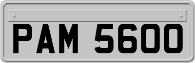 PAM5600