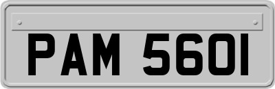 PAM5601