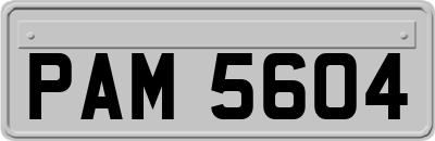 PAM5604