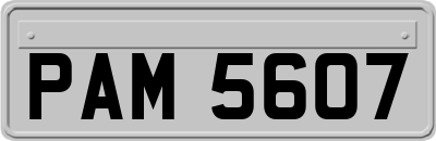 PAM5607