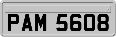 PAM5608