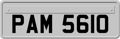 PAM5610