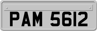 PAM5612