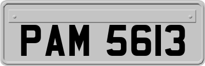 PAM5613