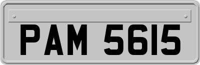 PAM5615