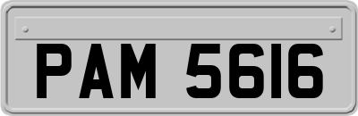 PAM5616
