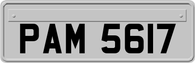 PAM5617