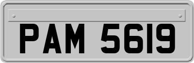 PAM5619