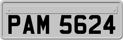 PAM5624
