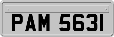 PAM5631