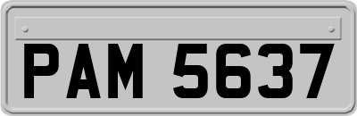 PAM5637