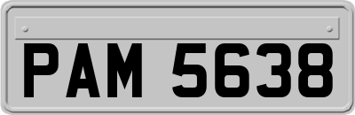 PAM5638