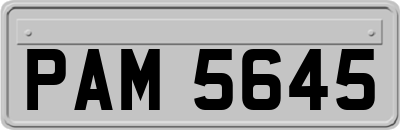 PAM5645
